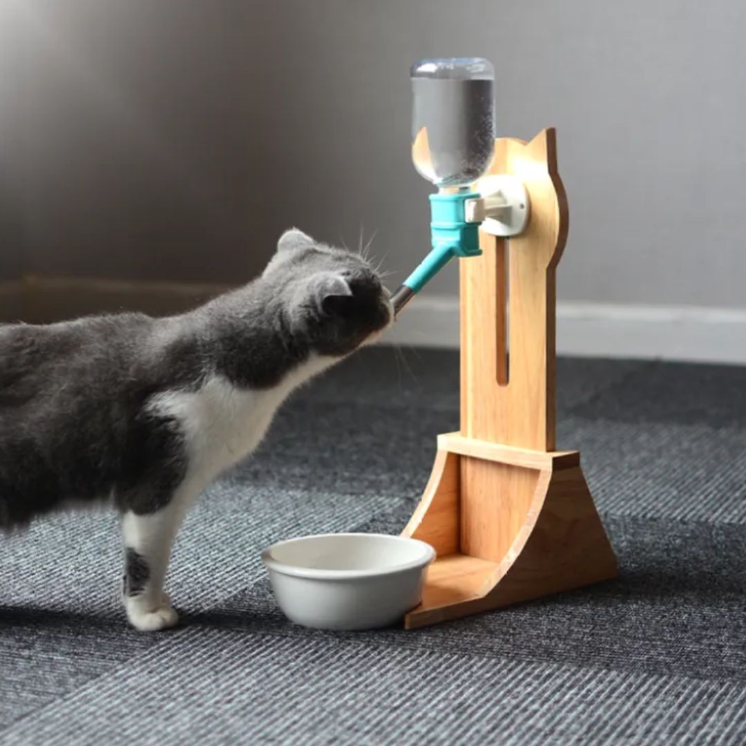 Wasserspender für Katzen und Hunde – Automatischer Trinker mit Flasche und Holzständer
