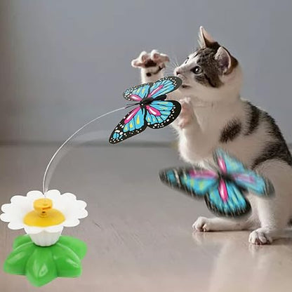 Schmetterling Spielzeug für Katzen