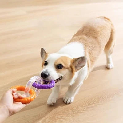 Robustes Zug Spielzeug für Hunde