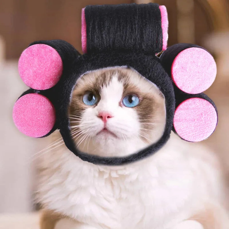 Lustige Haustier Kostüme – Bunte Haaraccessoires für Hunde und Katzen