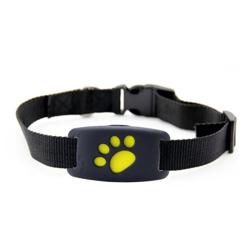Hundehalsband mit LED-Leuchtfunktion – Sichtbar Bei Dunkelheit Robust und Bequem