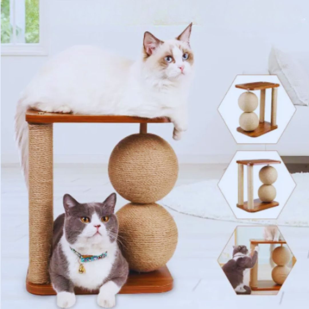Katzenkratzbaum mit Plattform – Modernes Kratzmöbel mit Sisalstangen und Holzplatte