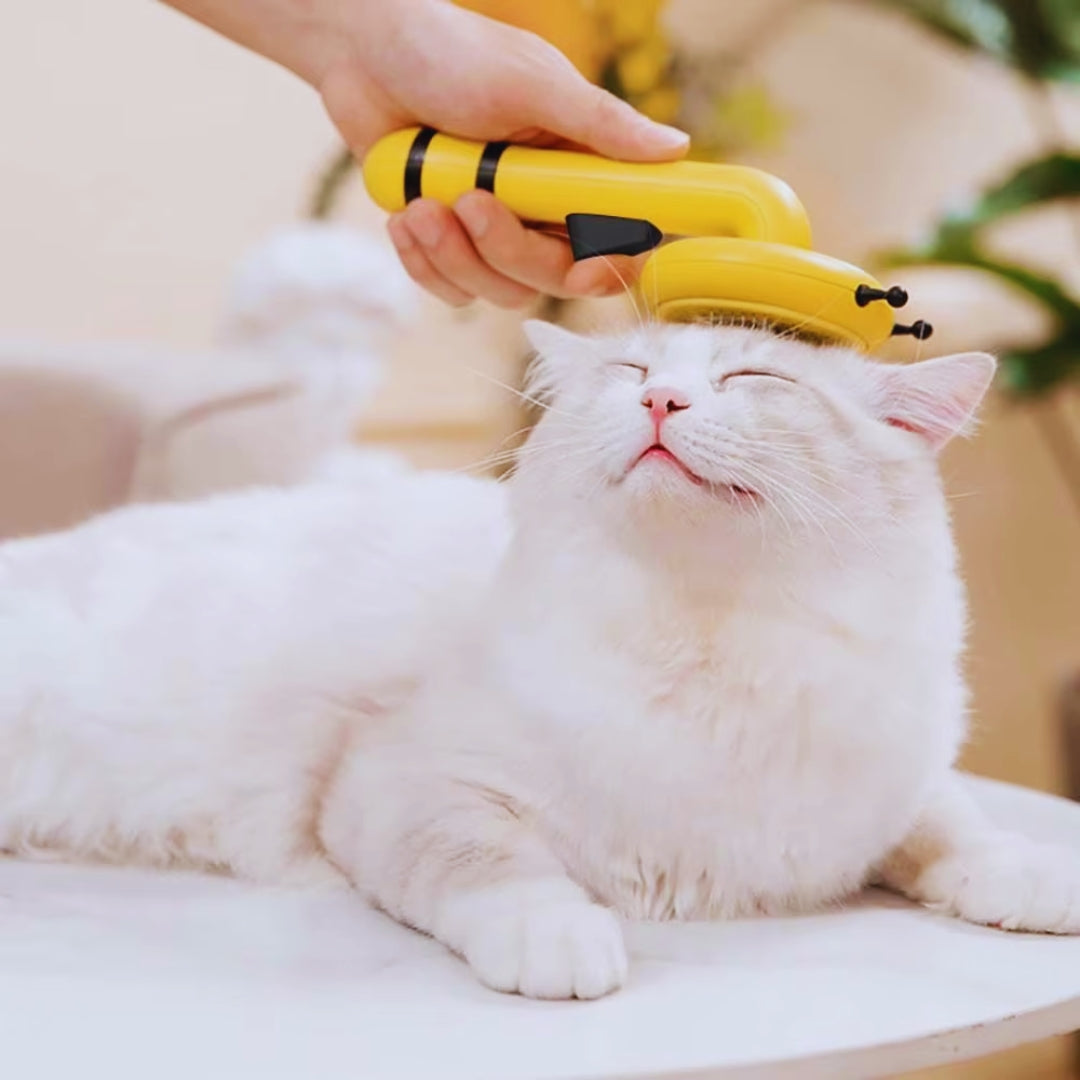 Haustier Fellbürste mit Ergonomischem Griff – Schnallenbürste für Hunde und Katzen