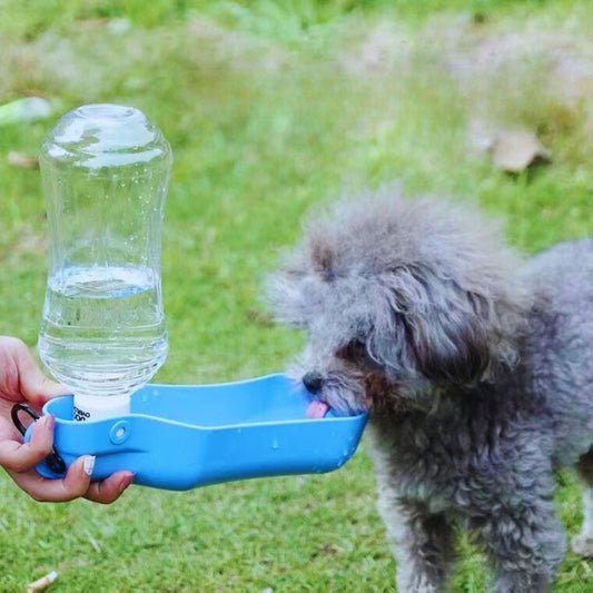 Tragbare Hunde-Trinkflasche mit Schale und Karabiner – Ideal für Spaziergänge und Reisen