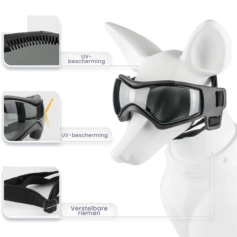 Stylischer Hundehelm mit Brille