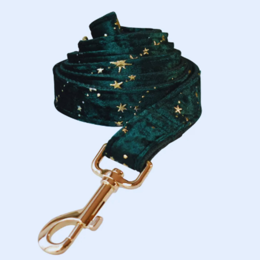 Luxuriöses Hundehalsband mit Leine und Fliege – Samtdesign mit Sternenmuster für Festliche Anlässe