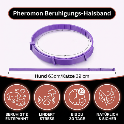 Pheromon Beruhigungs-Halsband