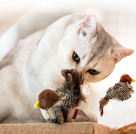 Zwitscherndes Vogelspielzeug für Katzen