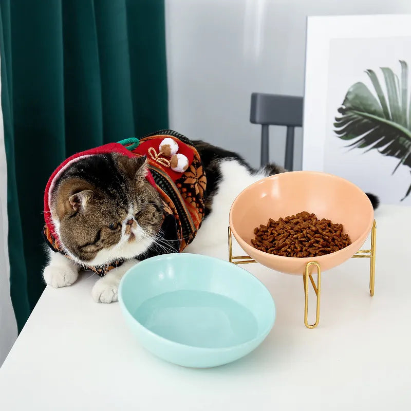 Erhöhte Futterschale Für Hunde Und Katzen – Stilvolles Design Mit Metallständer