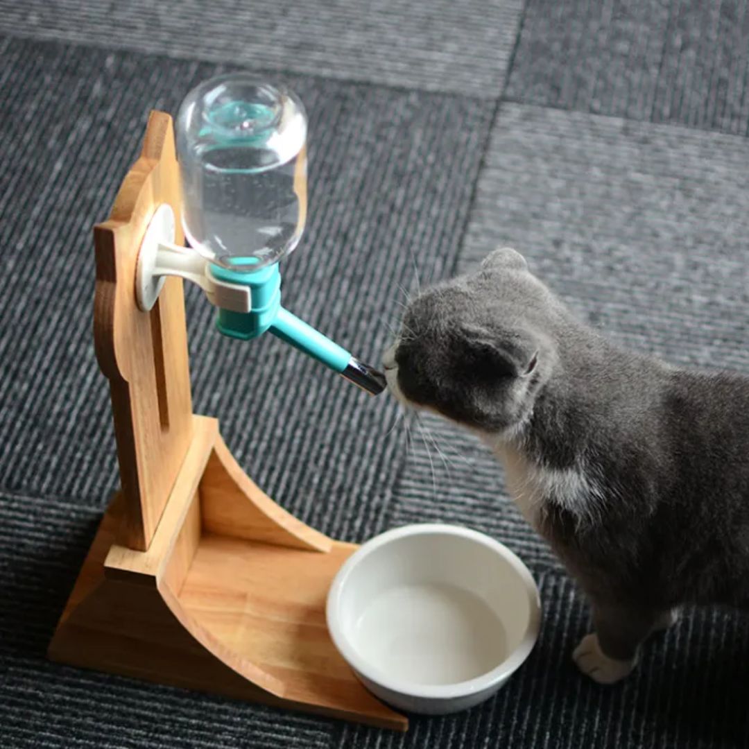 Wasserspender für Katzen und Hunde – Automatischer Trinker mit Flasche und Holzständer