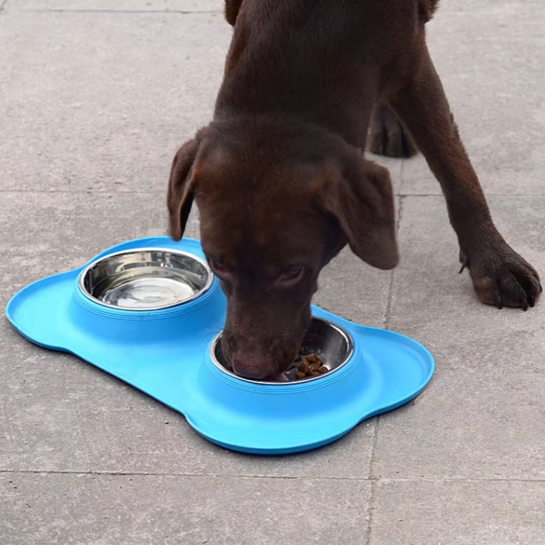Rutschfeste Hundefutterschüssel mit Doppelschale und Silikonunterlage