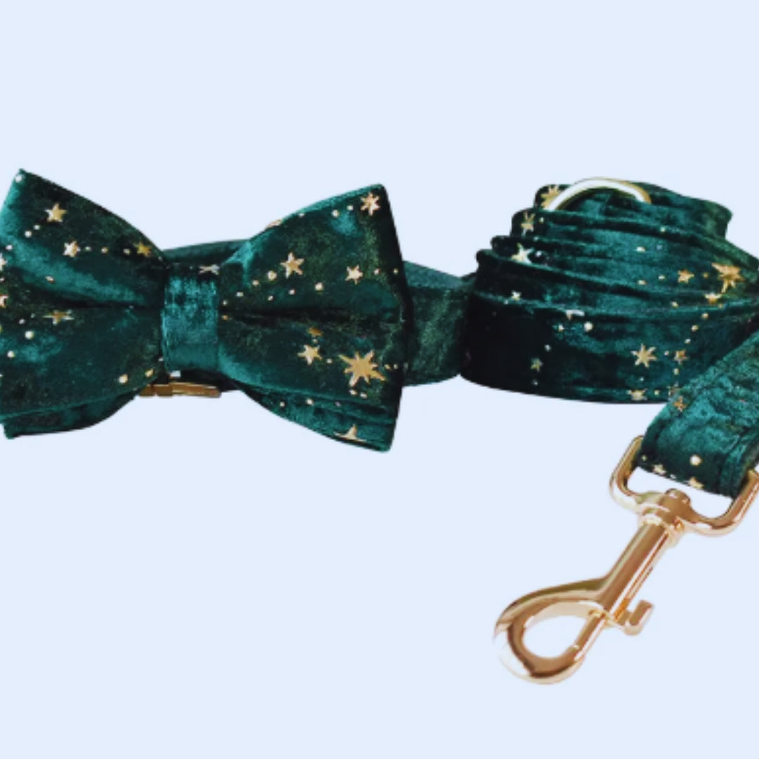 Luxuriöses Hundehalsband mit Leine und Fliege – Samtdesign mit Sternenmuster für Festliche Anlässe
