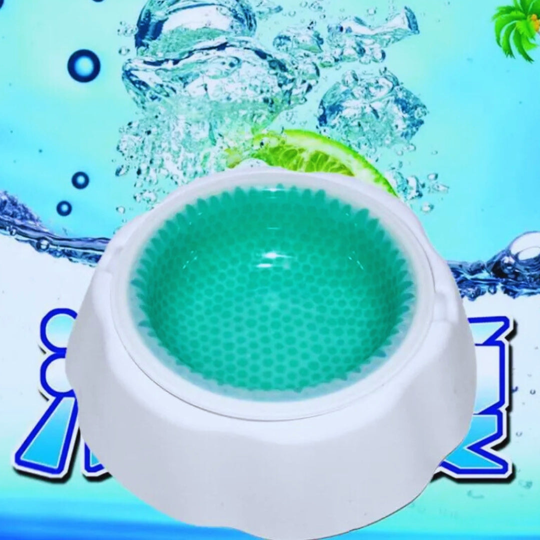 Wassersparende Hundetrinkschale mit Trenndesign – Rutschfeste Anti-Spill Schale