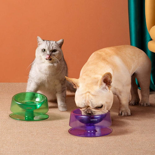 Design Futternapf für Hunde und Katzen Aus Hochwertigem Kunststoff – Rutschfest