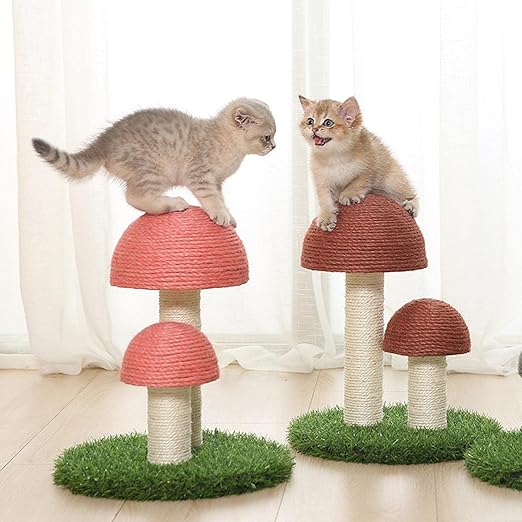 Katzen Pilz Kratzbaum aus Sisal