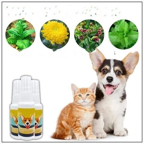 Stubenrein Trainingsspray für Welpen Hunde und Katzen