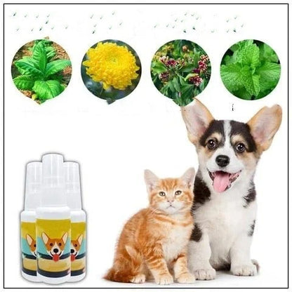 Stubenrein Trainingsspray für Welpen Hunde und Katzen