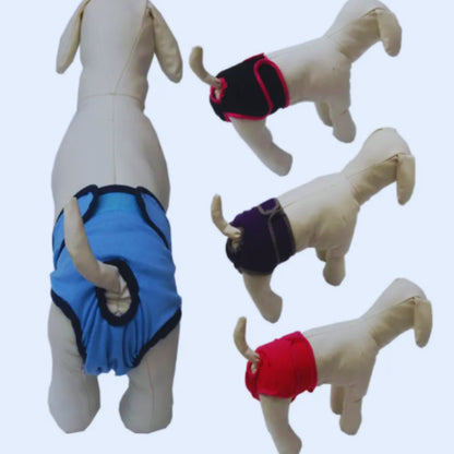 Waschbare Hundewindel für Rüden mit Klettverschluss und Schwanzöffnung
