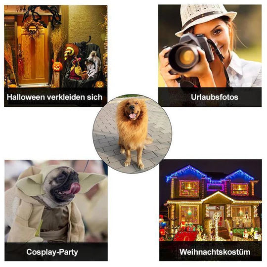 Löwenmähne Hundekostüm