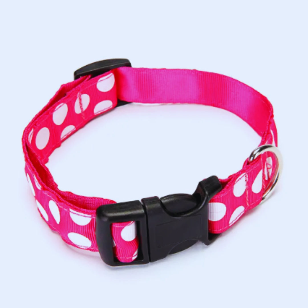 Weihnachtliches Katzenhalsband mit Glocken – Verstellbares Halsband In Rot und Grün