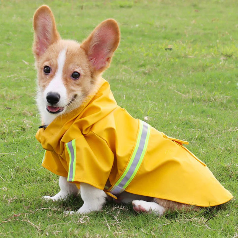 Wasserdichte Hundejacke - StormGuard