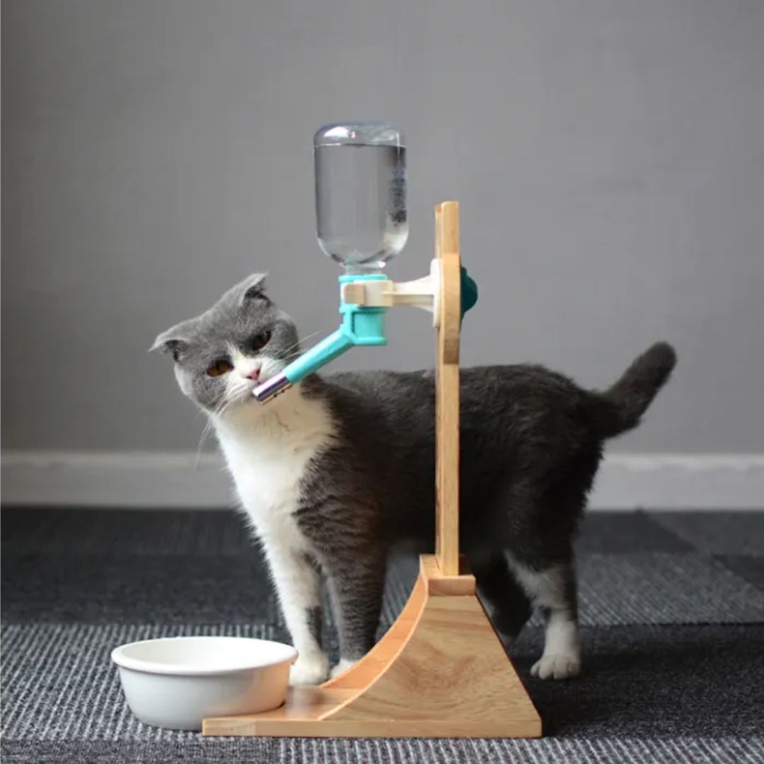 Wasserspender für Katzen und Hunde – Automatischer Trinker mit Flasche und Holzständer