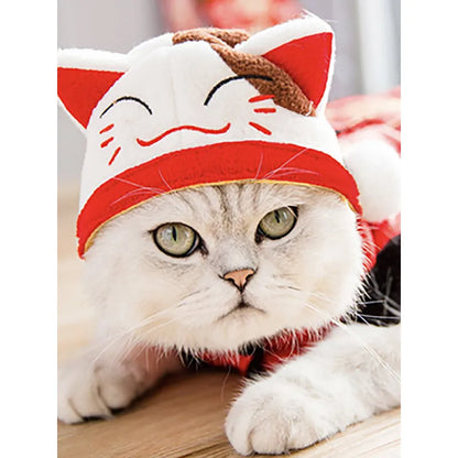 Lustige Haustier Kostüme – Bunte Haaraccessoires für Hunde und Katzen
