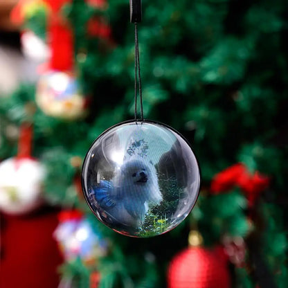 Erinnerungskugel für Hundebesitzer