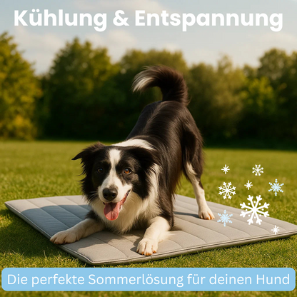 CoolBalance Selbstkühlende Hunde Kühlmatte