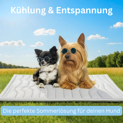 CoolBalance Selbstkühlende Hunde Kühlmatte