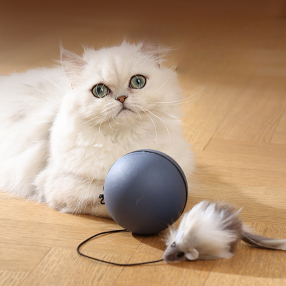 Katzen Turboball mit Schwanz Spielzeug