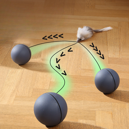 Katzen Turboball mit Schwanz Spielzeug