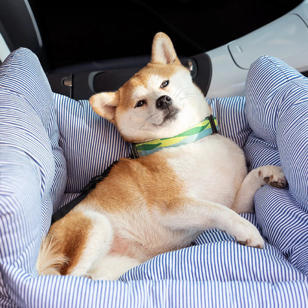 Bequemes Hundebett für das Auto