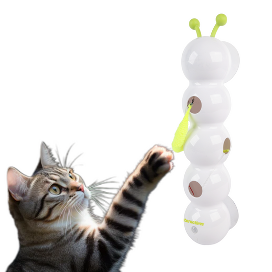 Interaktives Katzen Versteck Raupen Spielzeug