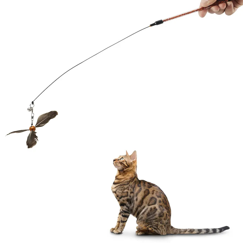 Katzen Feder Stimulations Spielzeug