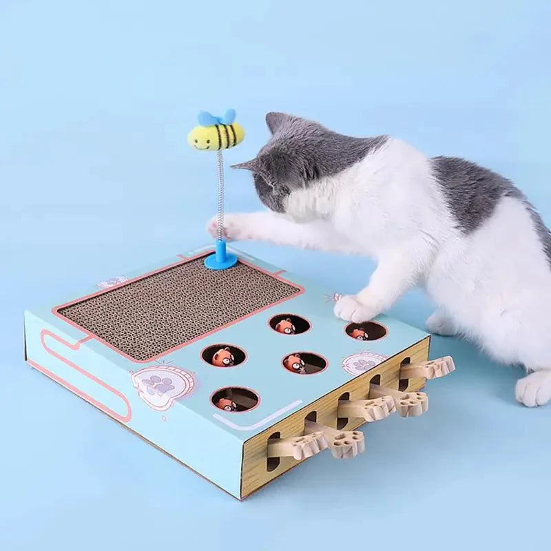 3in1 Spielbox für Katzen