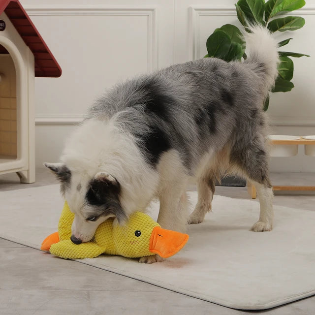 Anti-Stress Ente - Kuscheltier für Hunde