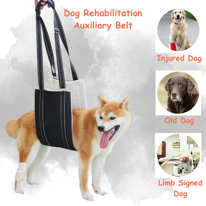 Hunde-Stützgeschirr - Verstellbarer Rehabilitationsgurt