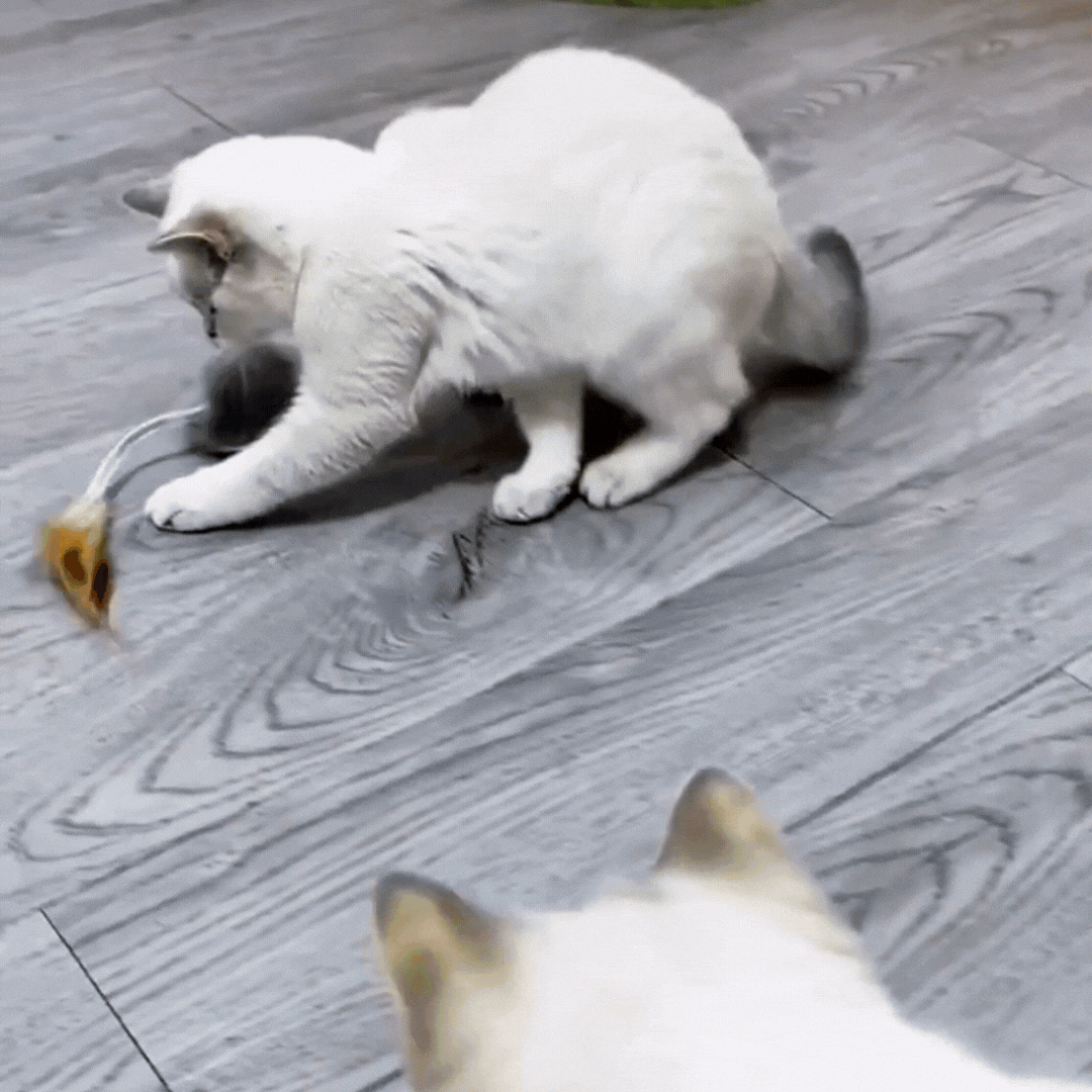 Mouse Toy for Cats