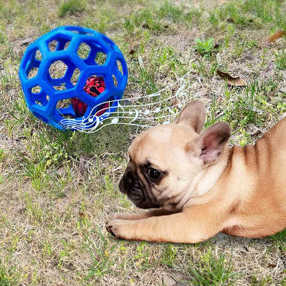 Hunde Glöckchen Ball Spielzeug - Resistente Zahnpflege und Training