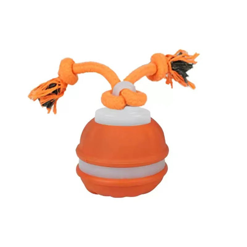 Robuster Hunde Spielball mit Bewegunssensor und Zugseil in Hundefarben