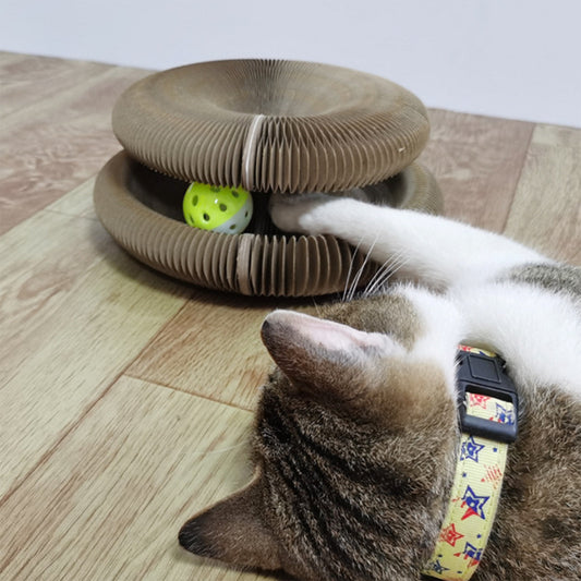 Katzen Ball und Kratz Spielzeug