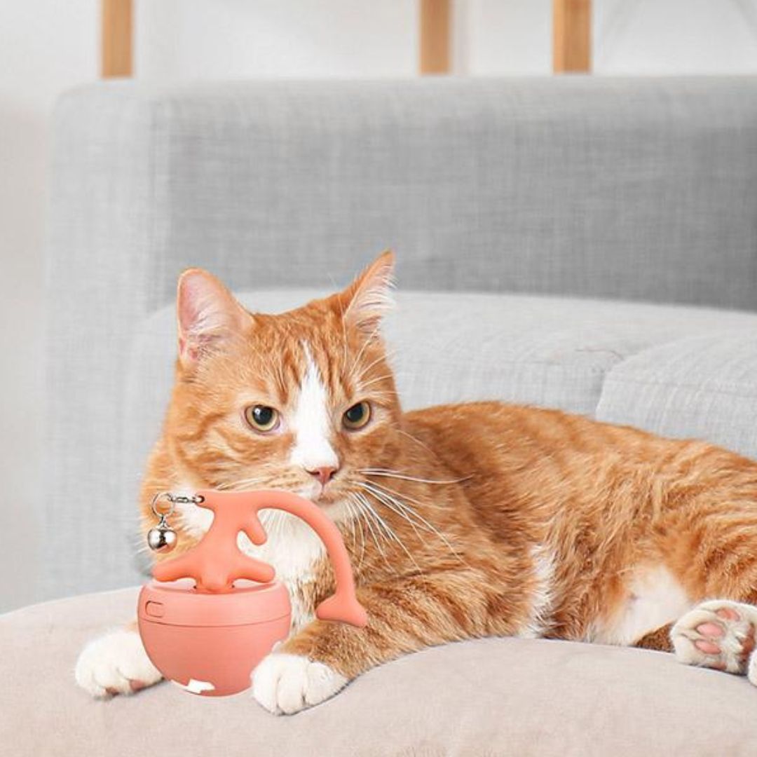 Interaktiver Katzen Spielball mit Federn