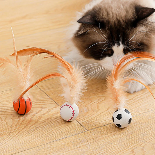 Katzen Gummi Federball Spielzeug