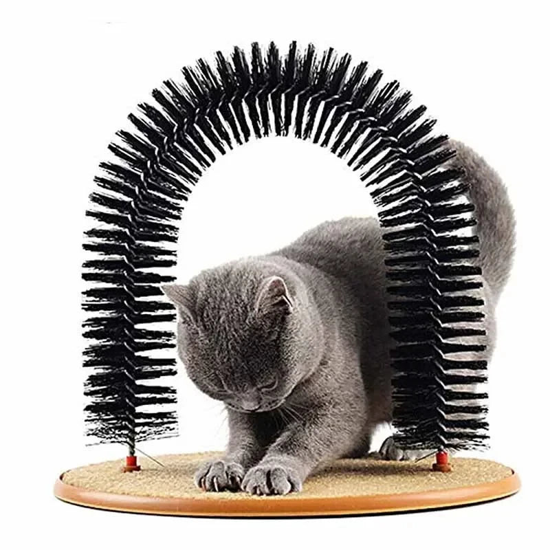 Katzen Spiel und Massagebürste