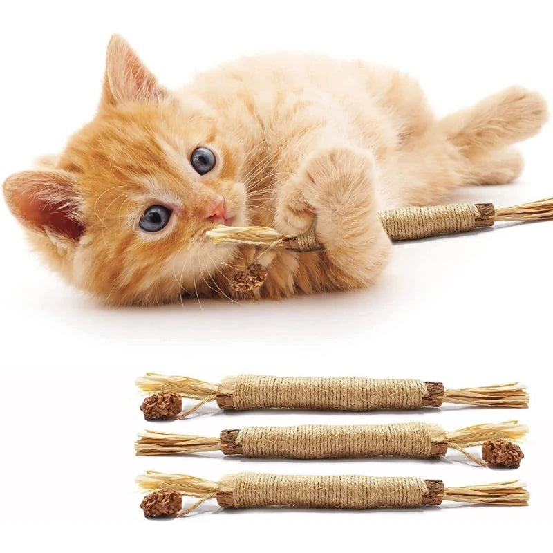 Kitty Zahnreinigungs Sticks