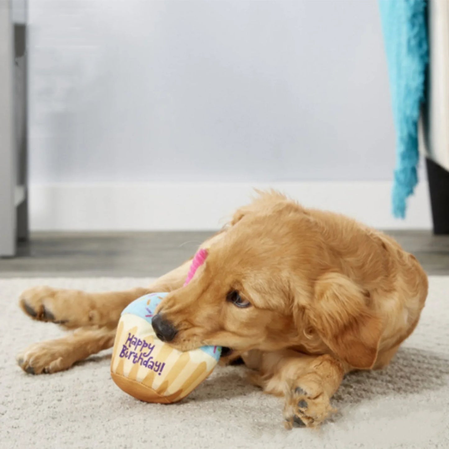 Hundespielzeug Geburtstag Set – Plüschkuchen, Cupcake & Knochen mit Quietschfunktion