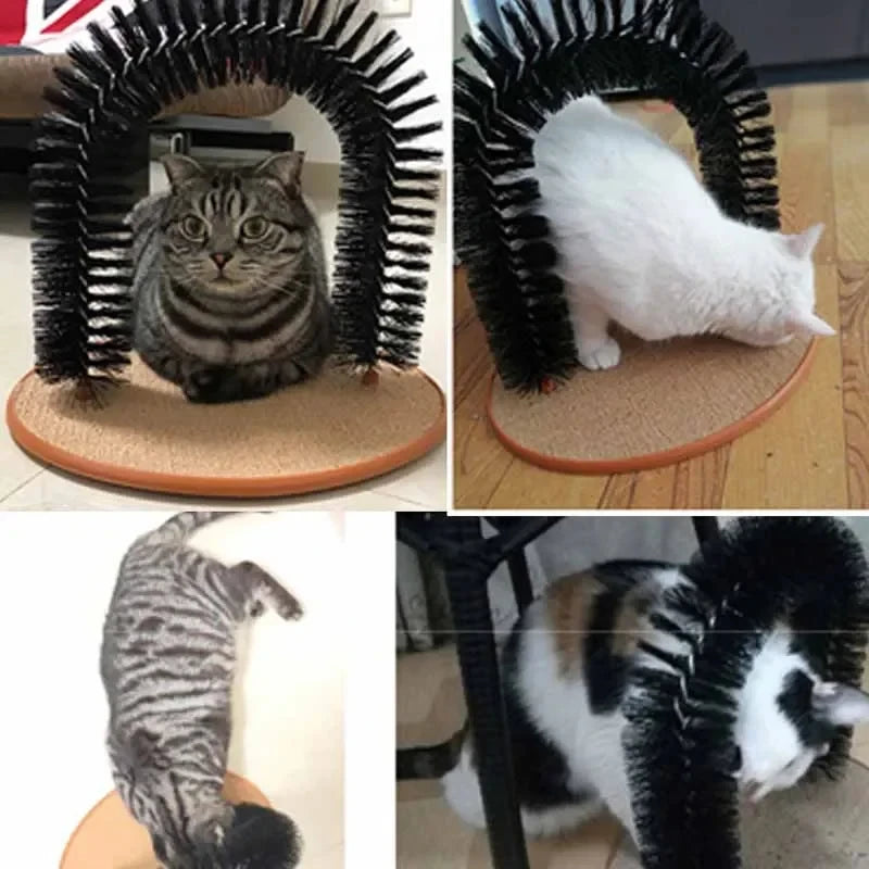 Katzen Spiel und Massagebürste