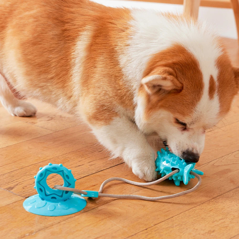 Hunde Saugnapf Leckerli Spielzeug