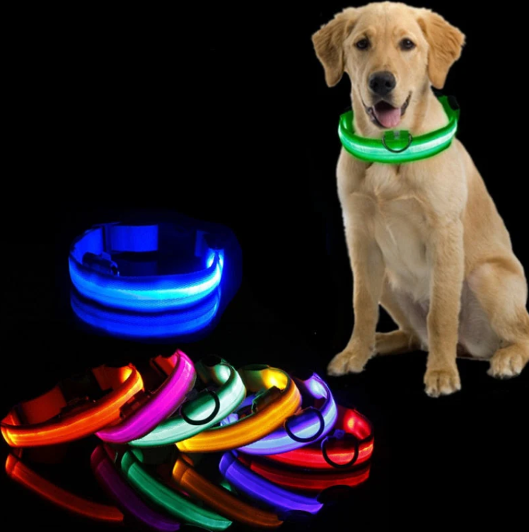 Hundehalsband mit LED-Lichtern